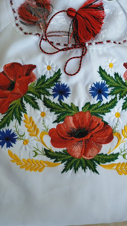 Ukrainian embroidered dress in the Ukrainian style